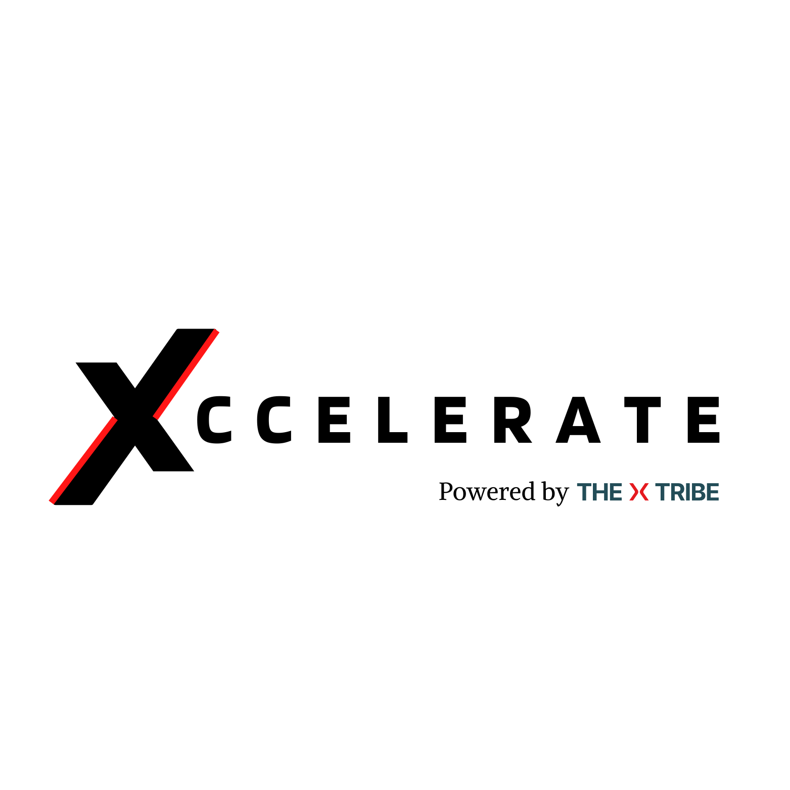 Xccelerate Academy — Powered by The X Tribe